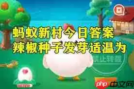 哪种清洗羽绒服的方式更科学