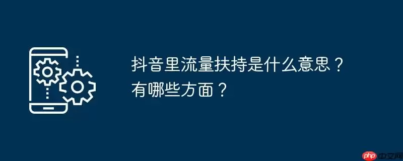 抖音里流量扶持是什么意思？有哪些方面？