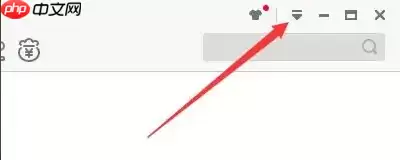 迅雷极速版怎么开启镜像服务器加速？迅雷极速版开启镜像服务器加速的方法