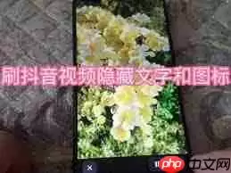 抖音观看时如何隐藏文案