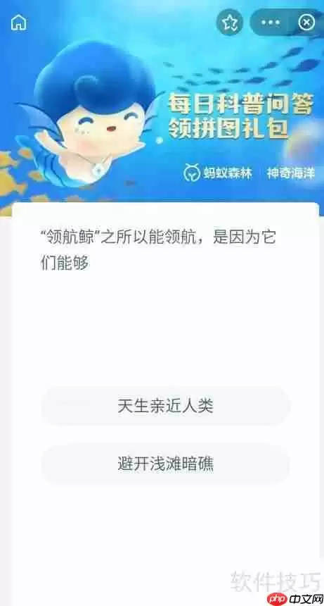 领航鲸为什么能领航？神奇海洋9月21日答案解析