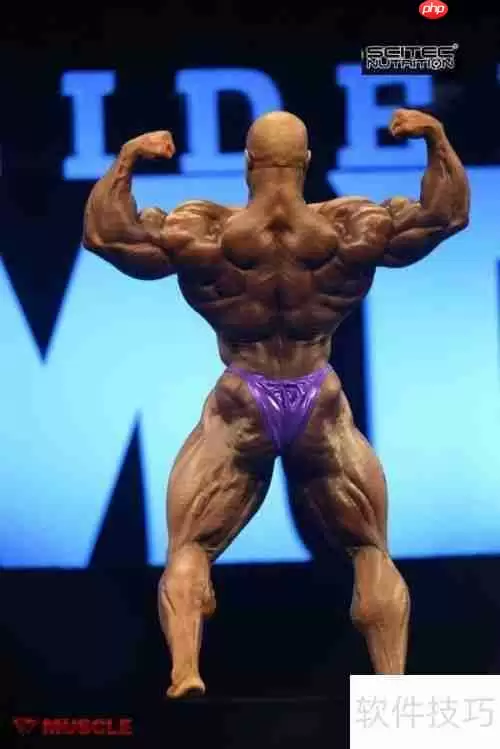 男子传统健美七个规定动作演示与解析