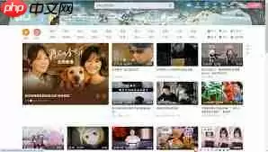 怎么把b站视频保存到相册