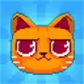 疯狂破坏猫