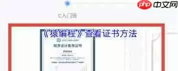猿编程app如何查看证书