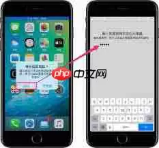 苹果手机如何通过USB给电脑提供网络