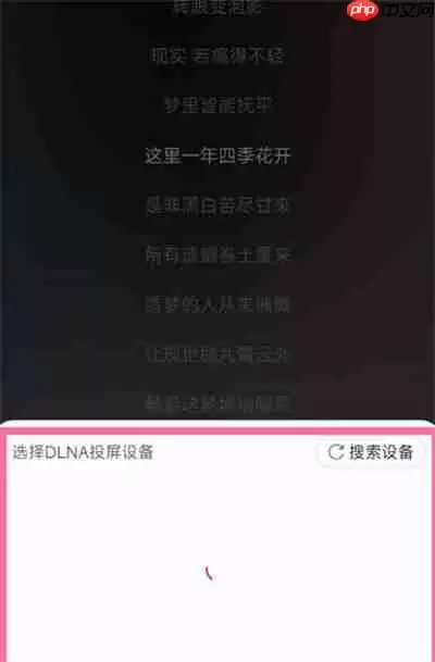 网易云音乐怎么投屏