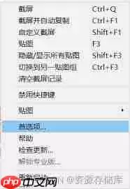 Snipaste如何自定义截图区域形状