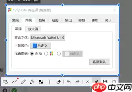 Snipaste如何自定义截图区域形状