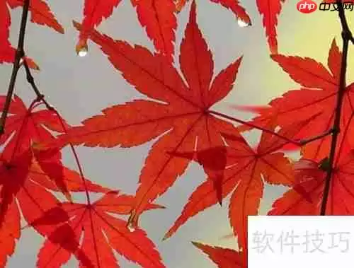 红枫种植技巧：从选种到养护的详细指南