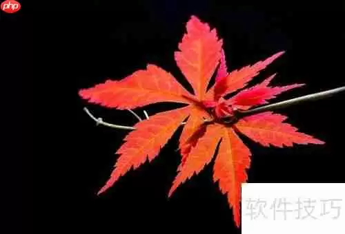 红枫种植技巧：从选种到养护的详细指南