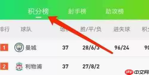 爱奇艺体育积分榜在哪里看