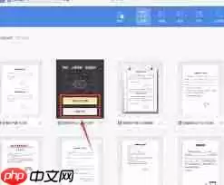 WPS网页版新建文档怎么选合适模板
