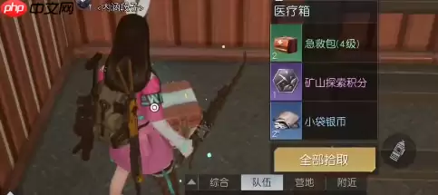 黎明觉醒环谷挖掘场宝箱位置在哪-环谷挖掘场宝箱位置大全