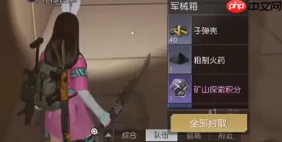 黎明觉醒环谷挖掘场宝箱位置在哪-环谷挖掘场宝箱位置大全