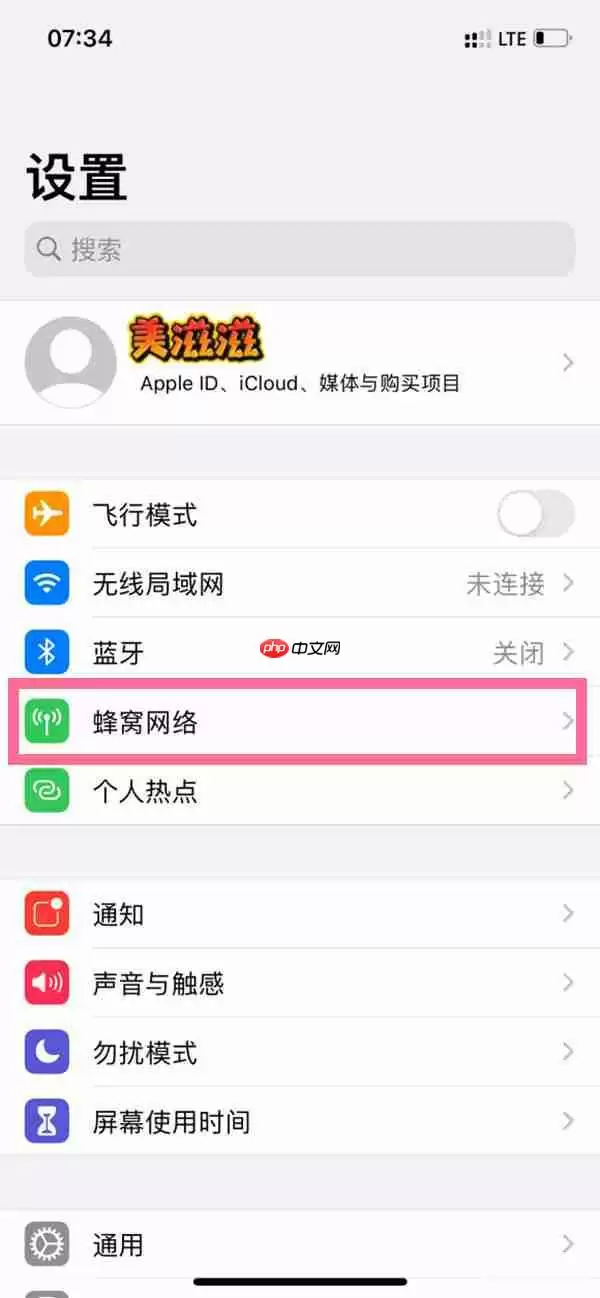 苹果手机物联卡lte热点怎么开
