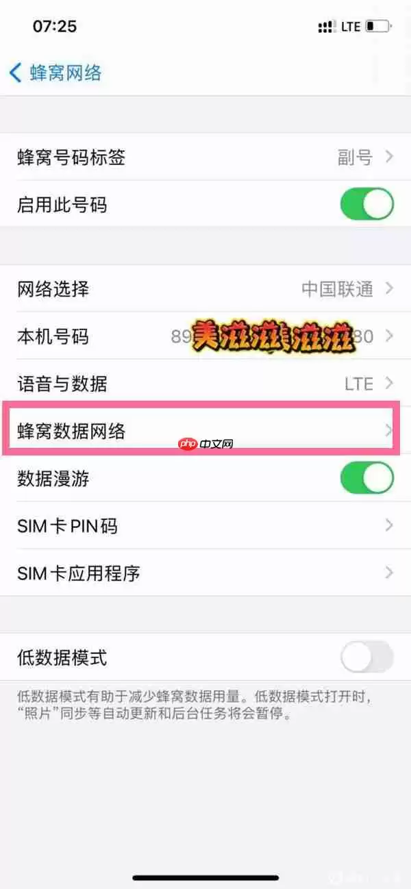 苹果手机物联卡lte热点怎么开
