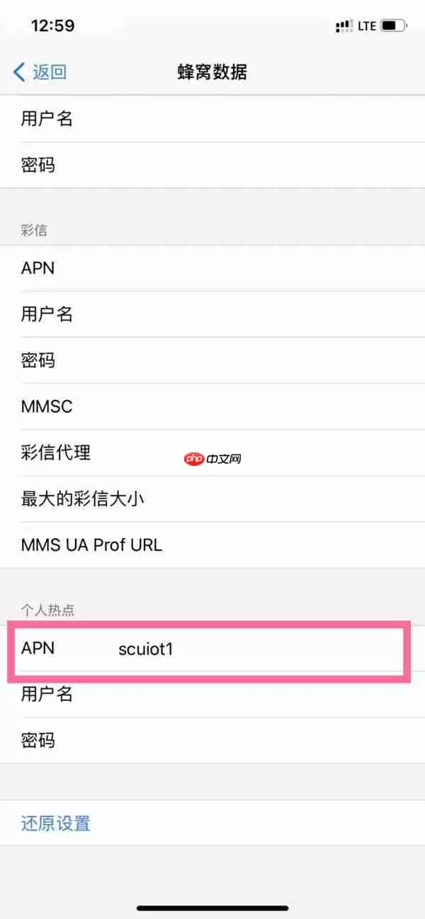 苹果手机物联卡lte热点怎么开