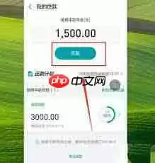 支付宝借呗如何提前还款