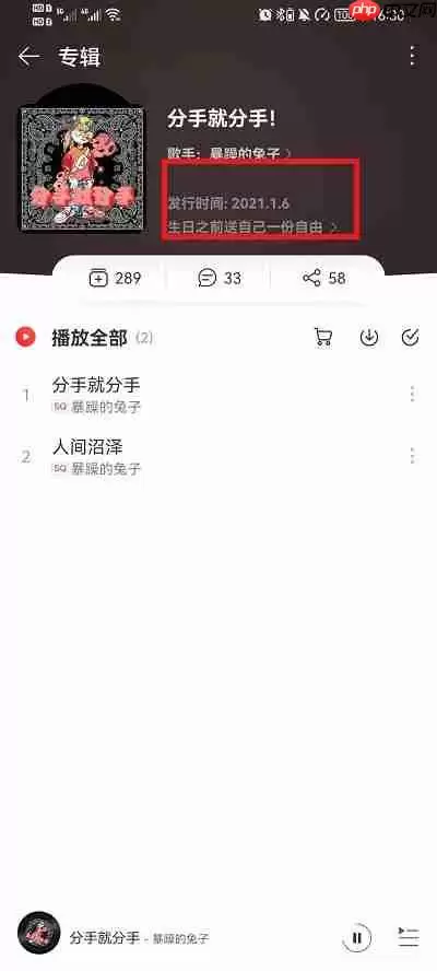 网易云音乐怎么看歌曲发布时间