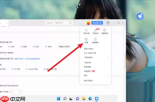 迅雷11怎么设置任务管理?迅雷11设置任务管理教程