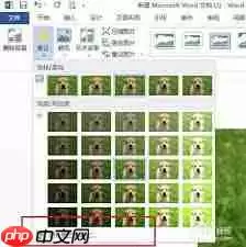 word对比度在哪里调