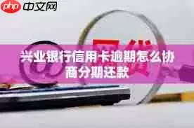 兴业银行如何进行分期还款