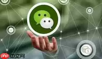 在微信里怎么分享本地音乐？分享本地音乐的步骤一览