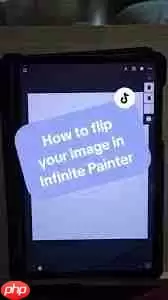 painter怎么翻转画布