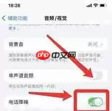 ios15系统如何开启电话降噪功能