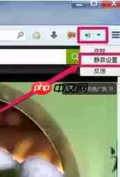 火狐浏览器如何将网页声音关掉？网页声音关掉方法分享