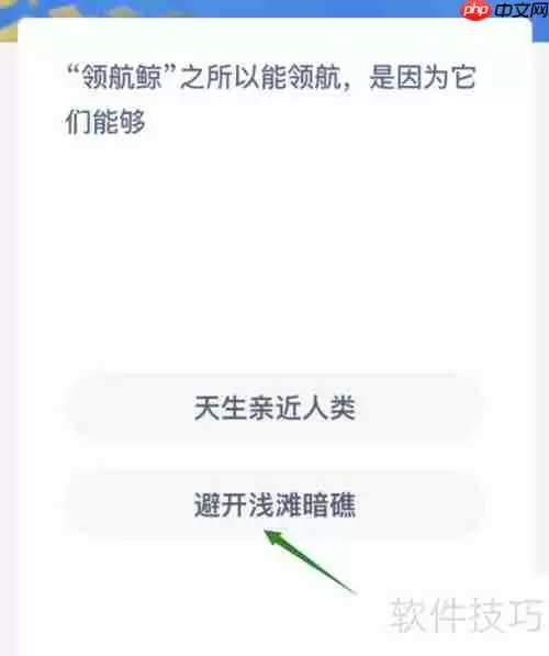 领航鲸之所以能领航是因为它们能够感知地球磁场