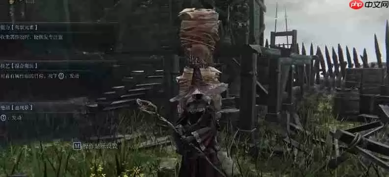 艾尔登法环黑夜君临全职业强度排行