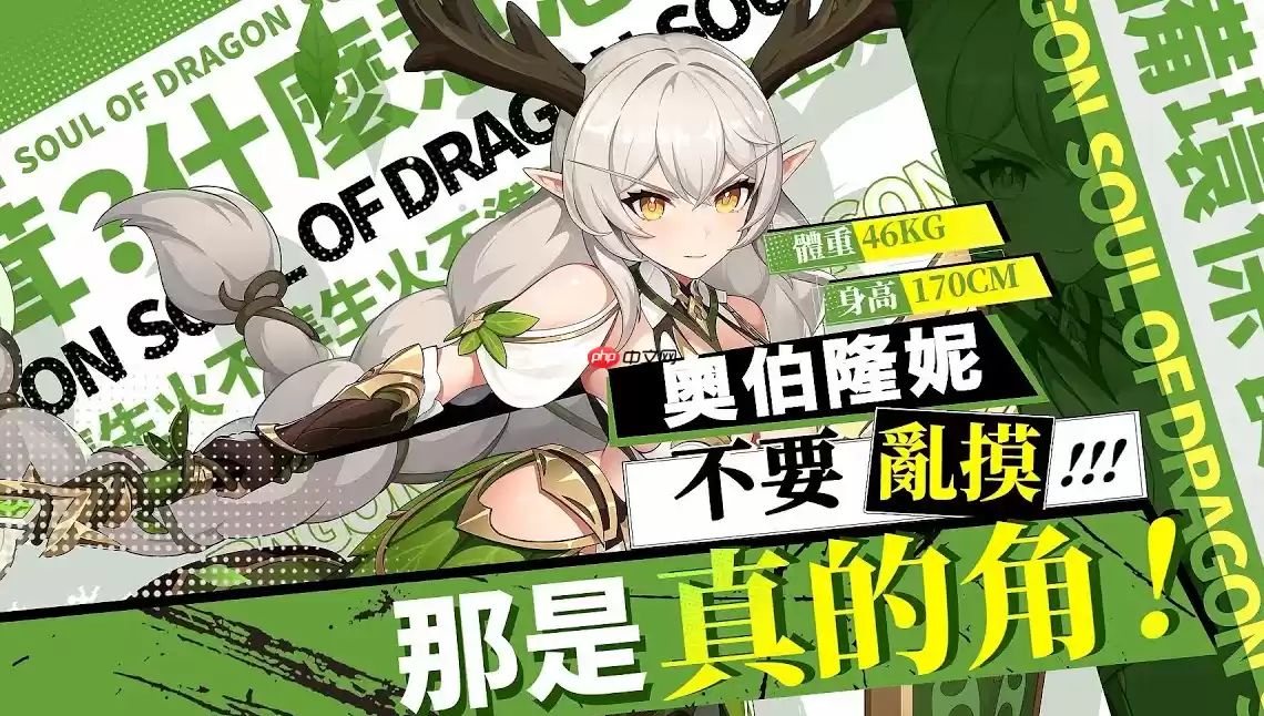 龙魂旅人PVE开荒阵容大全 三套高性价比队伍指南