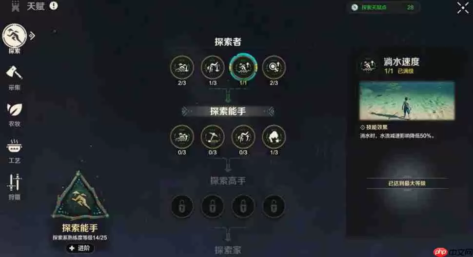 荒野生存法则：探索天赋极致优化指南