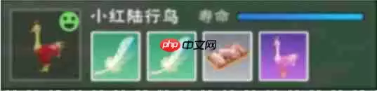 创造与魔法次元兽栏玩法详解