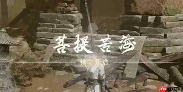 燕云十六声菩提苦海铁心难静任务通关步骤