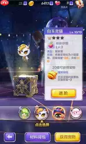 天天酷跑3D白玉灵猫怎么样 白玉灵猫实用性评测[多图]