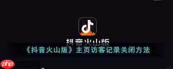 抖音火山版如何关闭主页访客功能