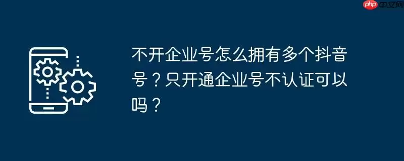 不开企业号怎么拥有多个抖音号？只开通企业号不认证可以吗？