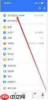 如何在支付宝查看积分兑换记录