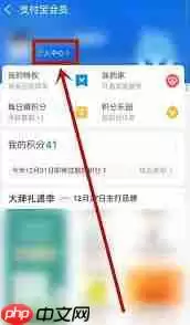 如何在支付宝查看积分兑换记录