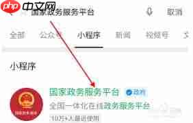 国家政务服务平台怎么操作