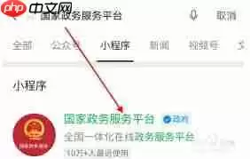 国家政务服务平台怎么操作