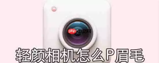 轻颜相机怎么P眉毛_P眉毛方法介绍