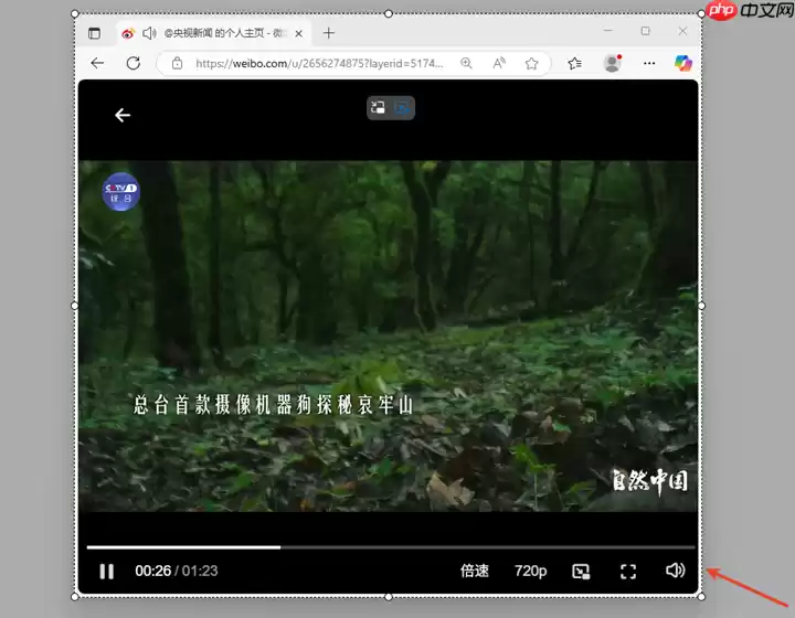 小旺AI截图V1.1.6版本更新,截图窗口自动吸附