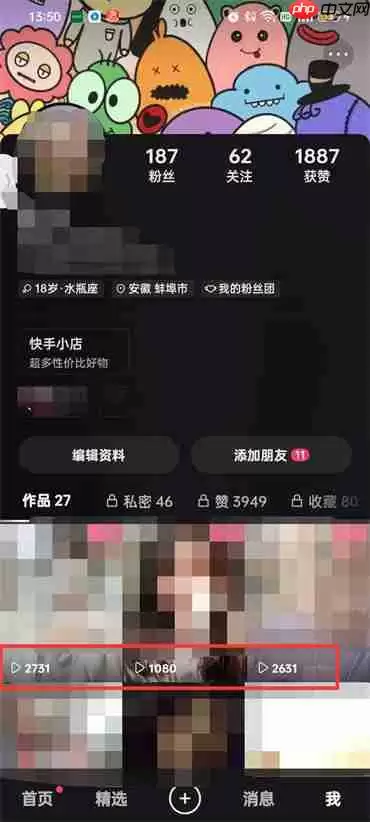 快手作品播放次数怎么看