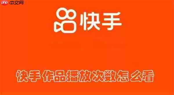 快手作品播放次数怎么看
