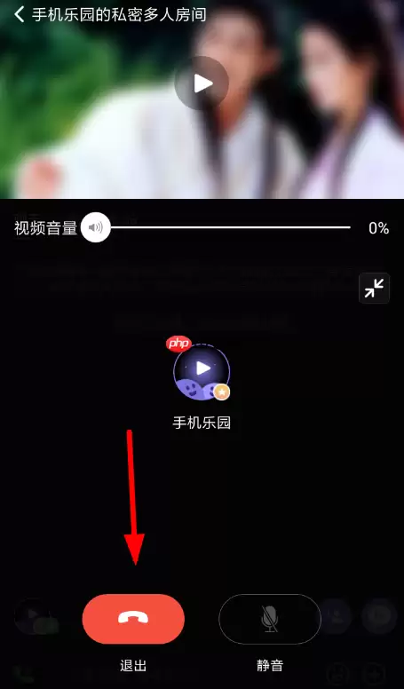在微光里如何使用连麦模式进行语音聊天？使用连麦模式进行语音聊天的方法介绍
