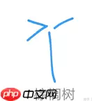 QQ画图红包棕桐树怎么画 QQ画图红包棕桐树最简画法分享